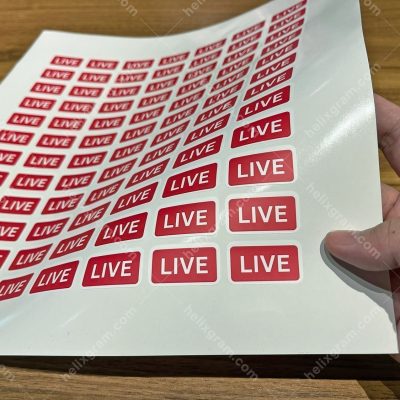 rectangular-sticker-printing-rectangle-label-printing-plastic-rectangle-label-printing-plastic-rectangular-label-printing-rectangle-sticker-printing-matte-laminated-sticker-printing-rectangular